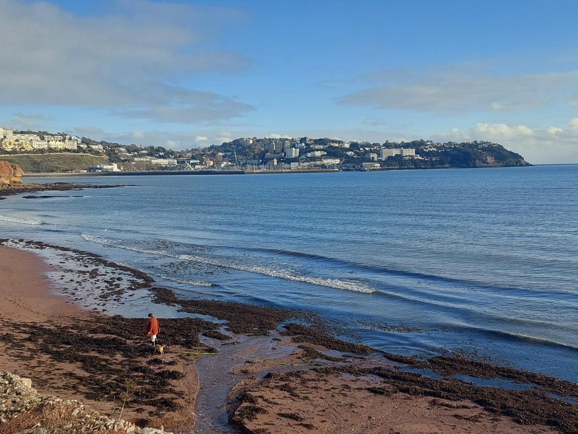 The Seaview Suites At The Corbyn Apartments Torquay Cameră foto